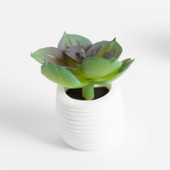 Succulent Plant Magnets 6 Count Potted Faux Plant Locker Fridge Plastic Novelty - Picture 3 of 9